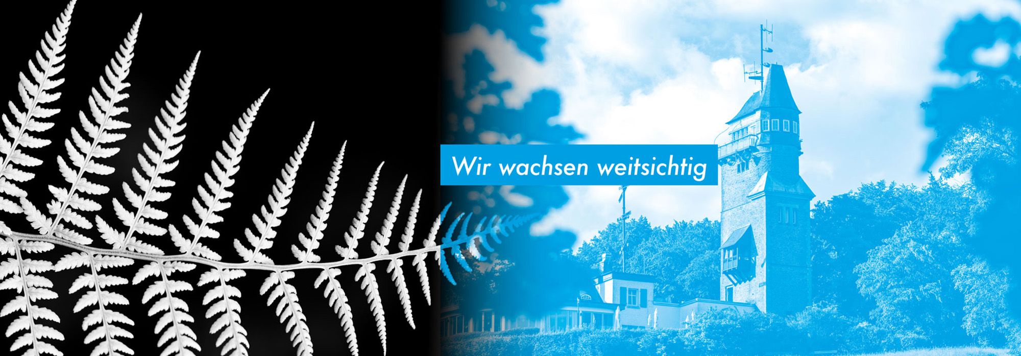 Wir wachsen weitsichtig